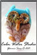 calm_water_studio001006.jpg